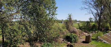 المنطقة المحيطة بالمنشأة