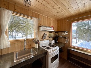 Frigorífico, microondas, horno y placa de cocina