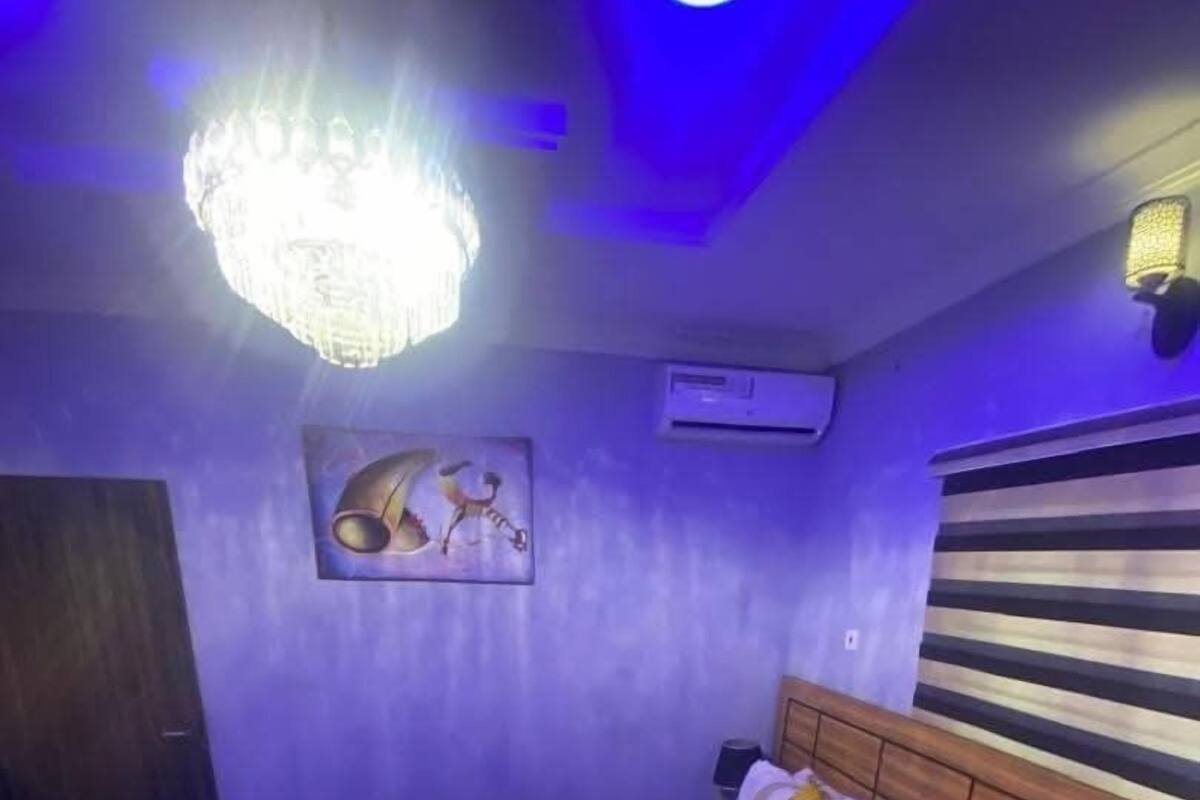A bedroom with a bed, a chandelier, a painting, and a wall-mounted air conditioner.