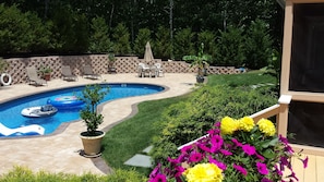 Pool - Modern 5-bedroom Hamptons Retreat On 1 Acre Cul de sac in East Quogue (East Quogue)