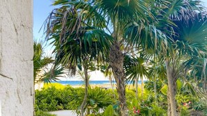 Un jardín exuberante con palmeras y plantas tropicales, que da paso a una playa con cielos despejados.