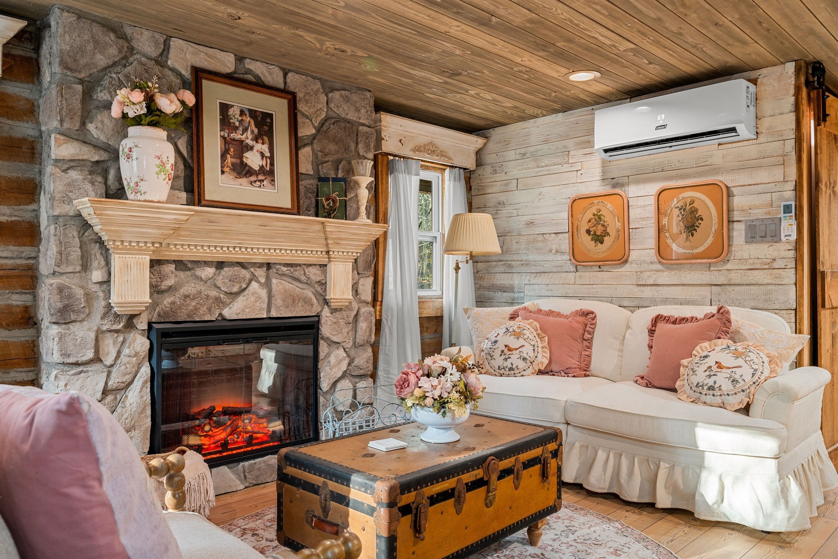 Smart TV, fireplace, books