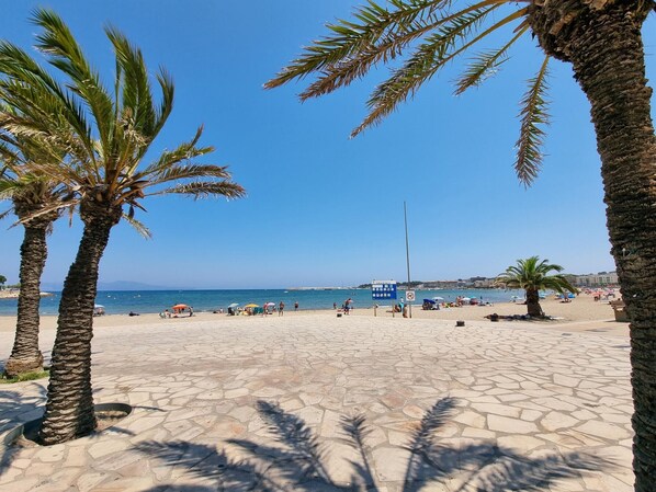 A beach with palm trees, a clear sky, and a signboard.