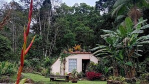 Ein kleines Haus, umgeben von üppigem Grün und tropischen Pflanzen.