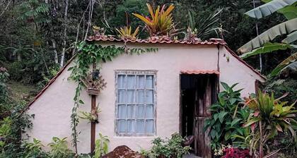 Cabin 20km from Paraty with garden and waterfall in the backyard surrounded by nature.