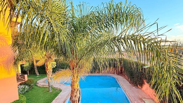 Ein Swimmingpool, umgeben von Palmen und einem Pflasterweg.