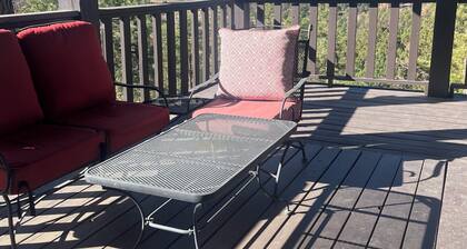 NEW LISTING/The Cozy Coyote/Alto Lake Views/Dog Friendly/1 Mile to Ski Run Road