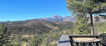 NEW LISTING/The Cozy Coyote/Alto Lake Views/Dog Friendly/1 Mile to Ski Run Road