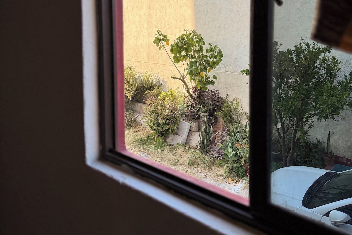 واي فاي مجانًا