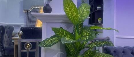 A modern living room with a large potted plant, a dark blue sofa, and a white side table.