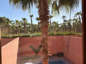 Property grounds - Charming villa in Marrakesh with a heated pool and a garden (Marrakesh)
