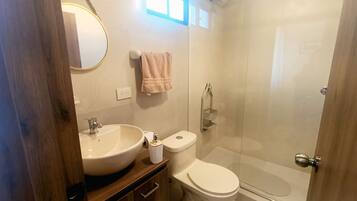 Hair dryer, bidet, towels, toilet paper