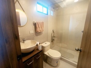 Hårtørrer, bidet, håndklæder, Toiletpapir