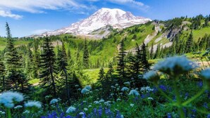 Paesaggio montano con una cima imponente, fitta vegetazione boschiva e fiori selvatici in primo piano.