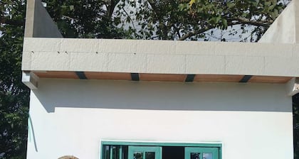 Loft Nimbus — Refugio Mágico con Terraza y Árbol Gigante