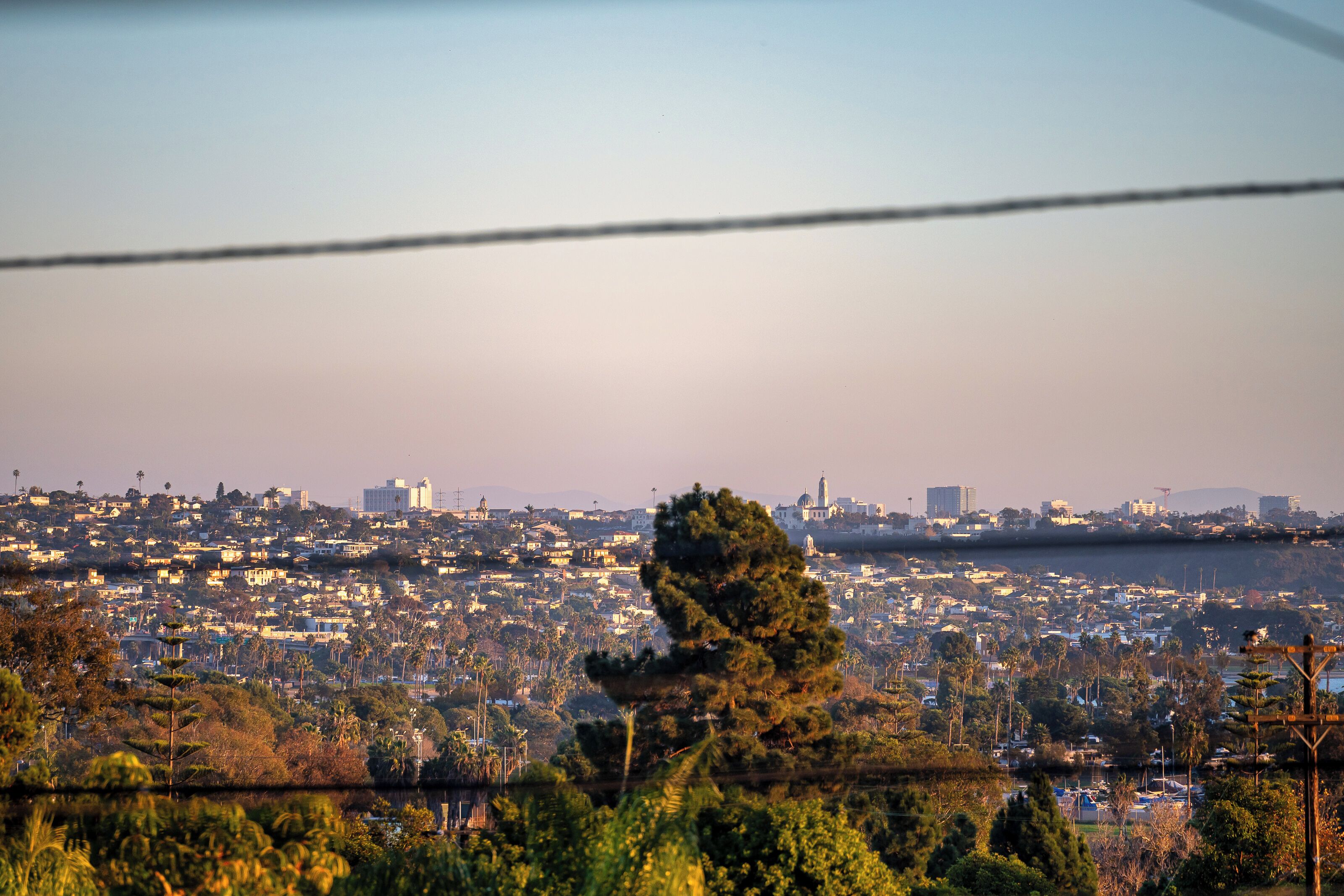 A cityscape with a prominent tree in the foreground, buildings in the midground, and a distant view of a body of water.