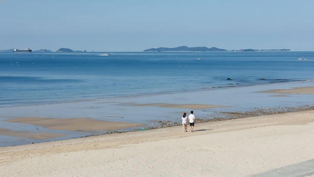 Una playa con arena y agua tranquila.