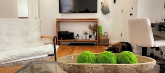 Charming, Central, and Pet-Friendly West Seattle Home.