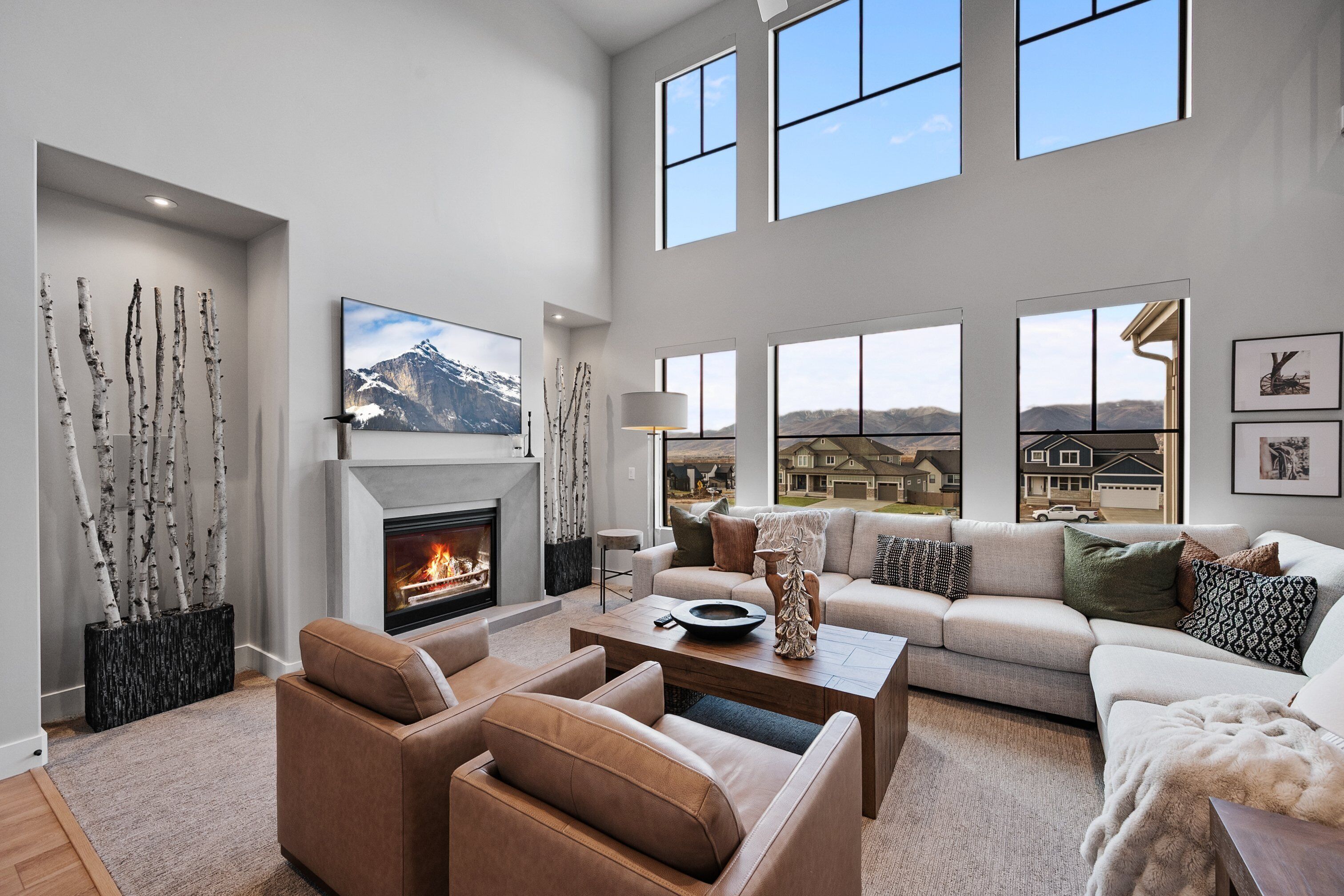 Smart TV, fireplace, books, offices