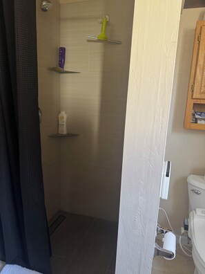 Shower, hair dryer, bidet, towels - Private First-Floor Guest Suite: 2 BR• 1Bath•Full-Kitchen in Peaceful Tracy (Tracy)