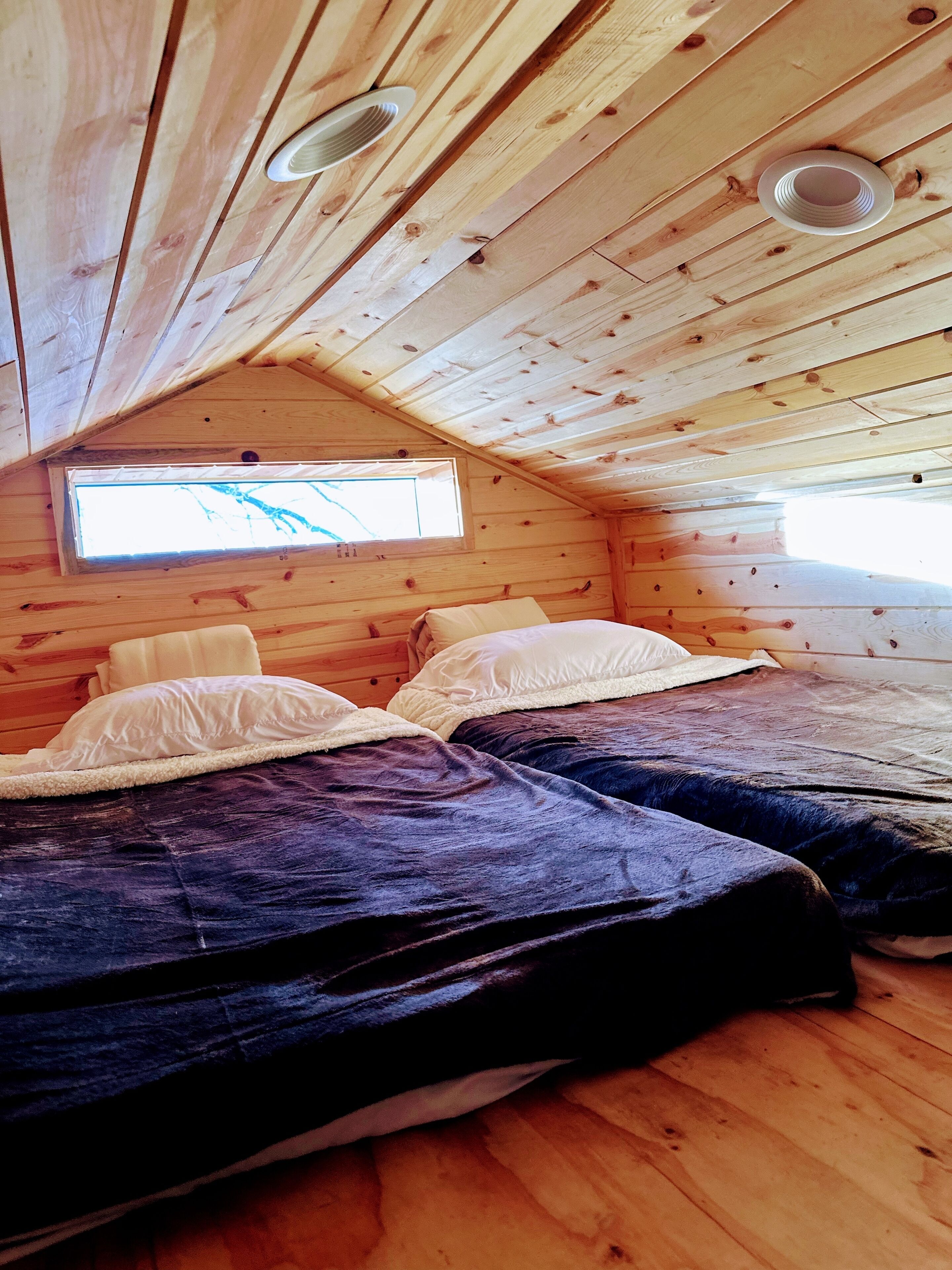 1 habitación, tabla de planchar con plancha y cuna de viaje 