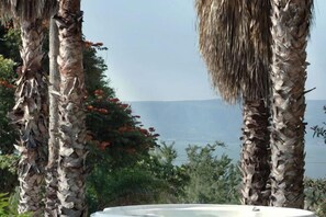 Room - ANANA Rancho San Rafael Pool and Lake Views (Ajijic)