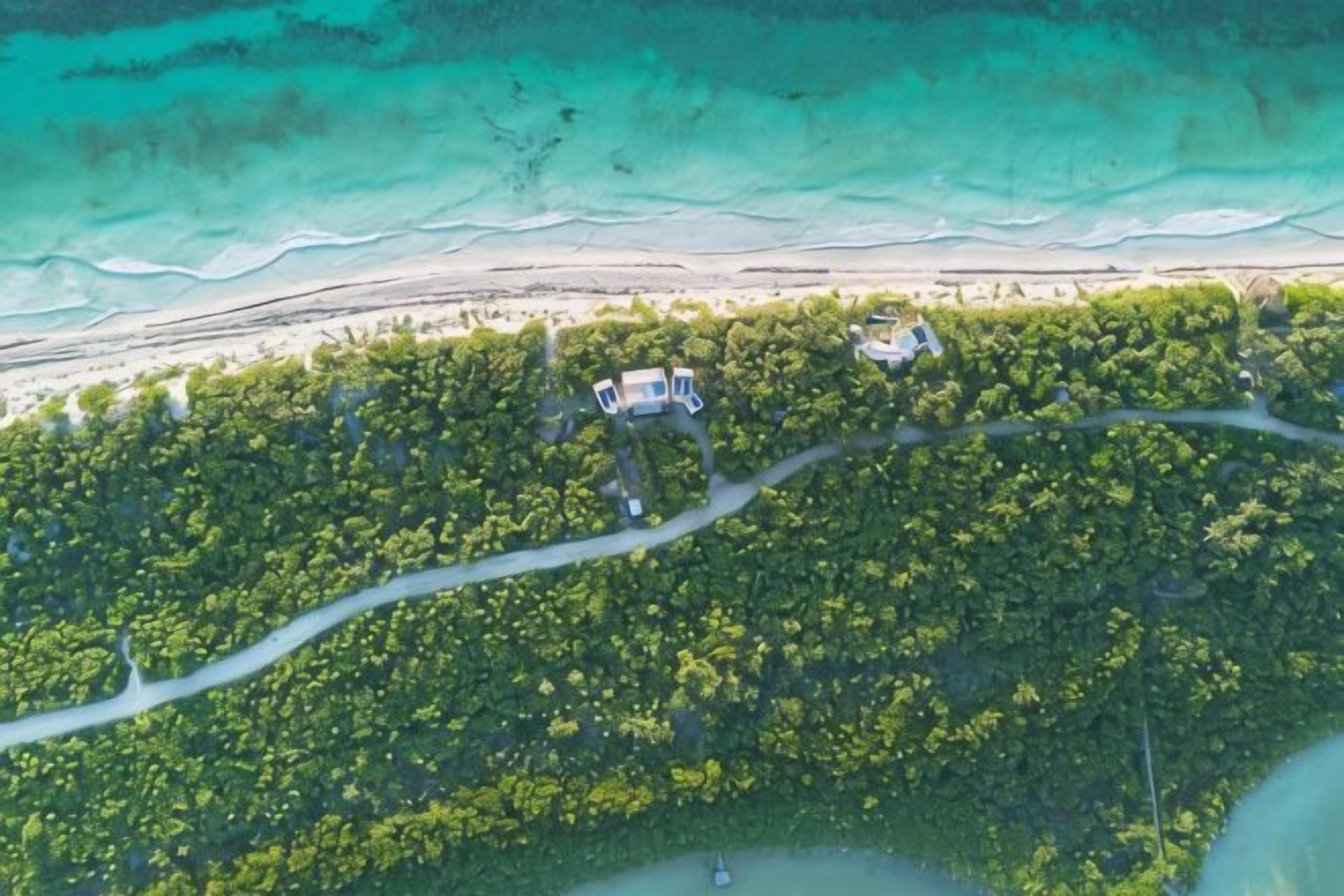 An aerial view of a coastal property with a road leading to a building, surrounded by dense vegetation and a beach.