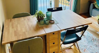 Riverside Mini Penthous