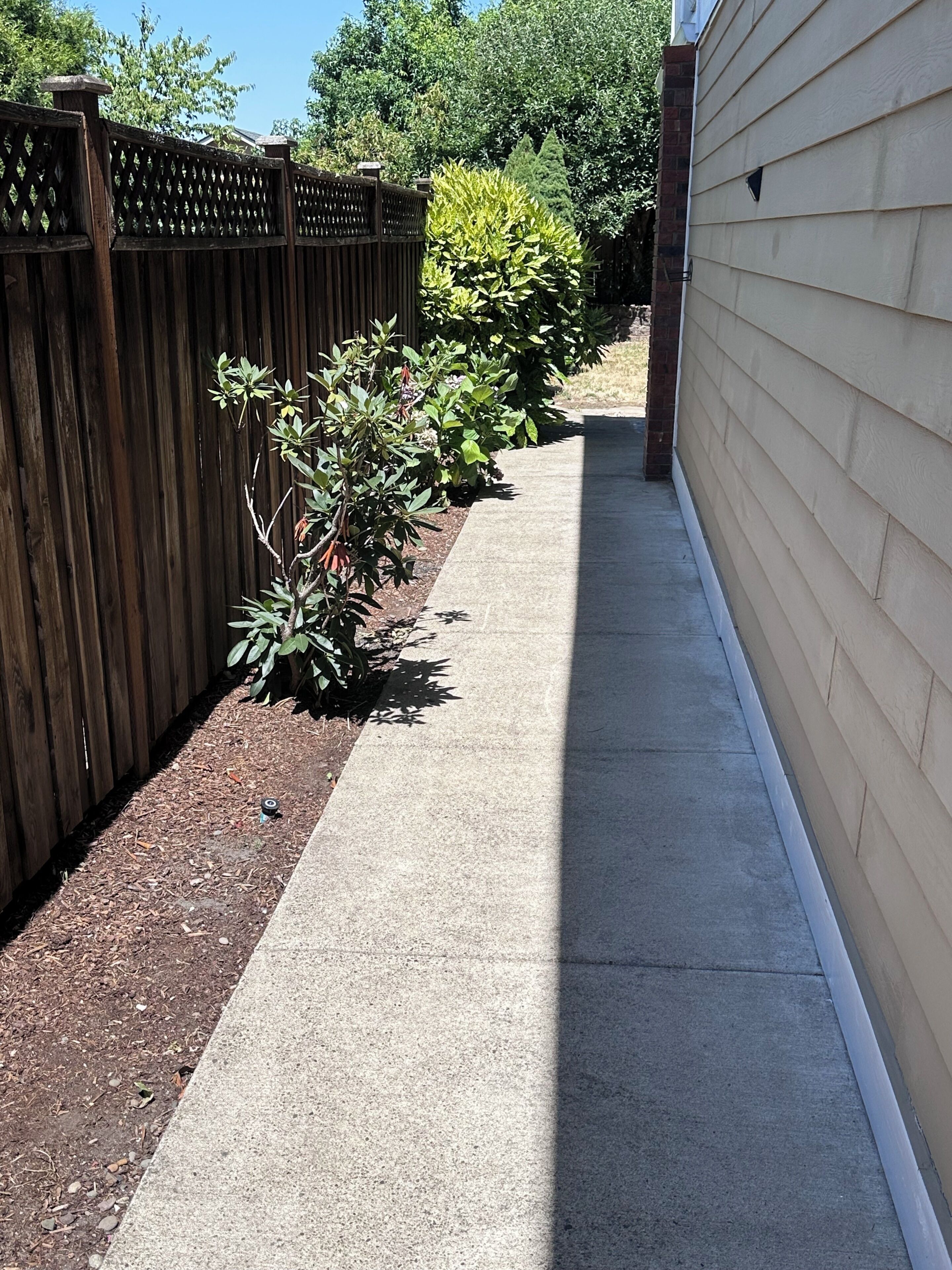 A concrete pathway alongside a wooden fence with various shrubs and a building with beige siding.