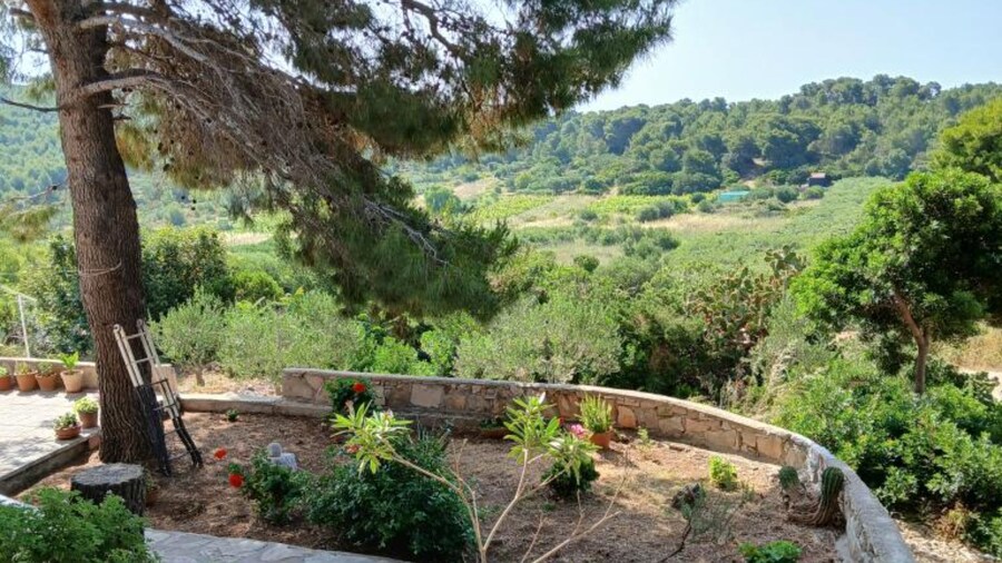 Apartmani Green Oasis