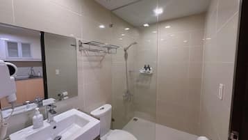 Shower, hair dryer, bidet, towels