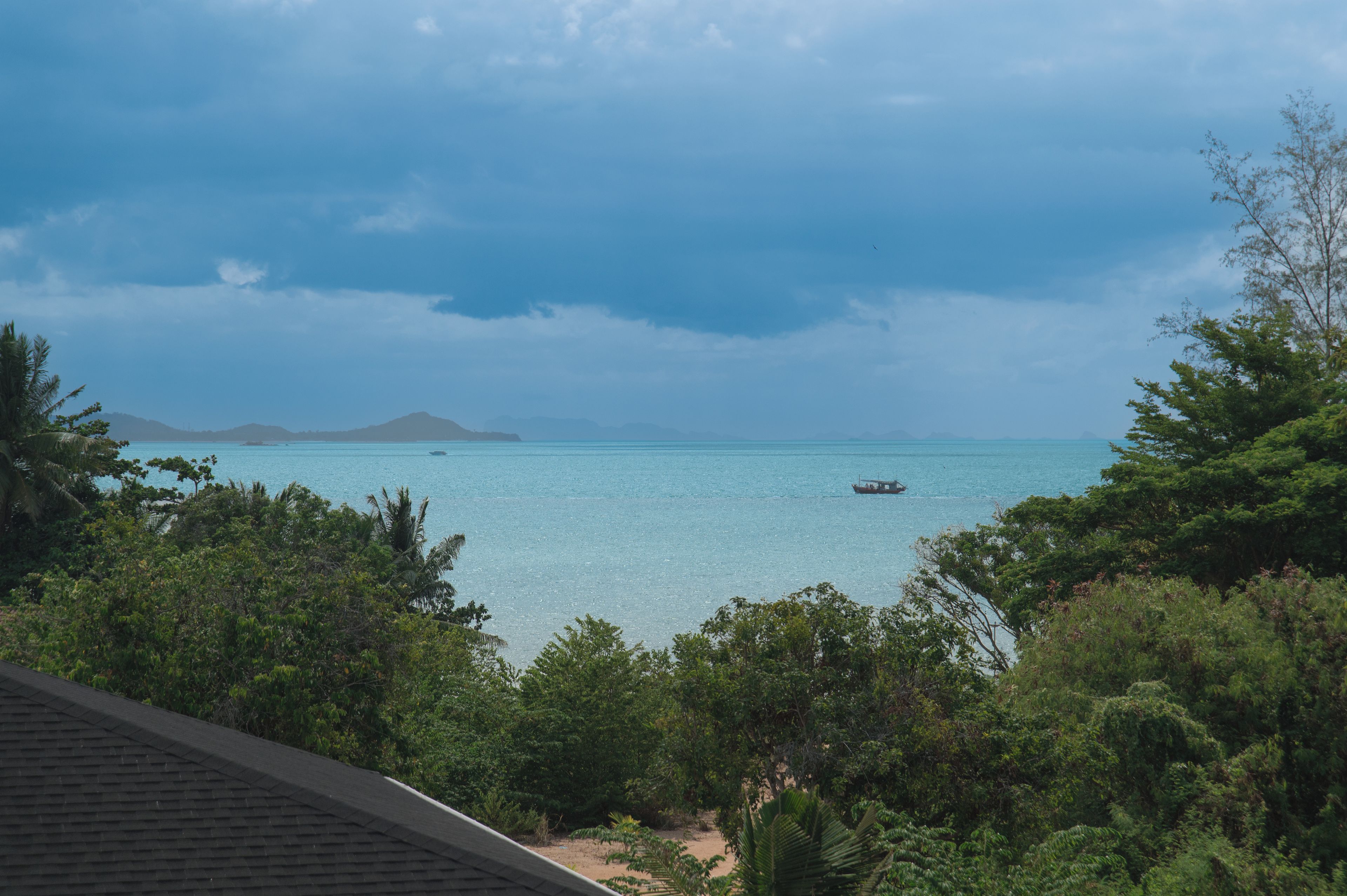 A coastal view with a boat on the water, trees in the foreground, and a distant landmass.