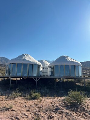 واي فاي مجانًا