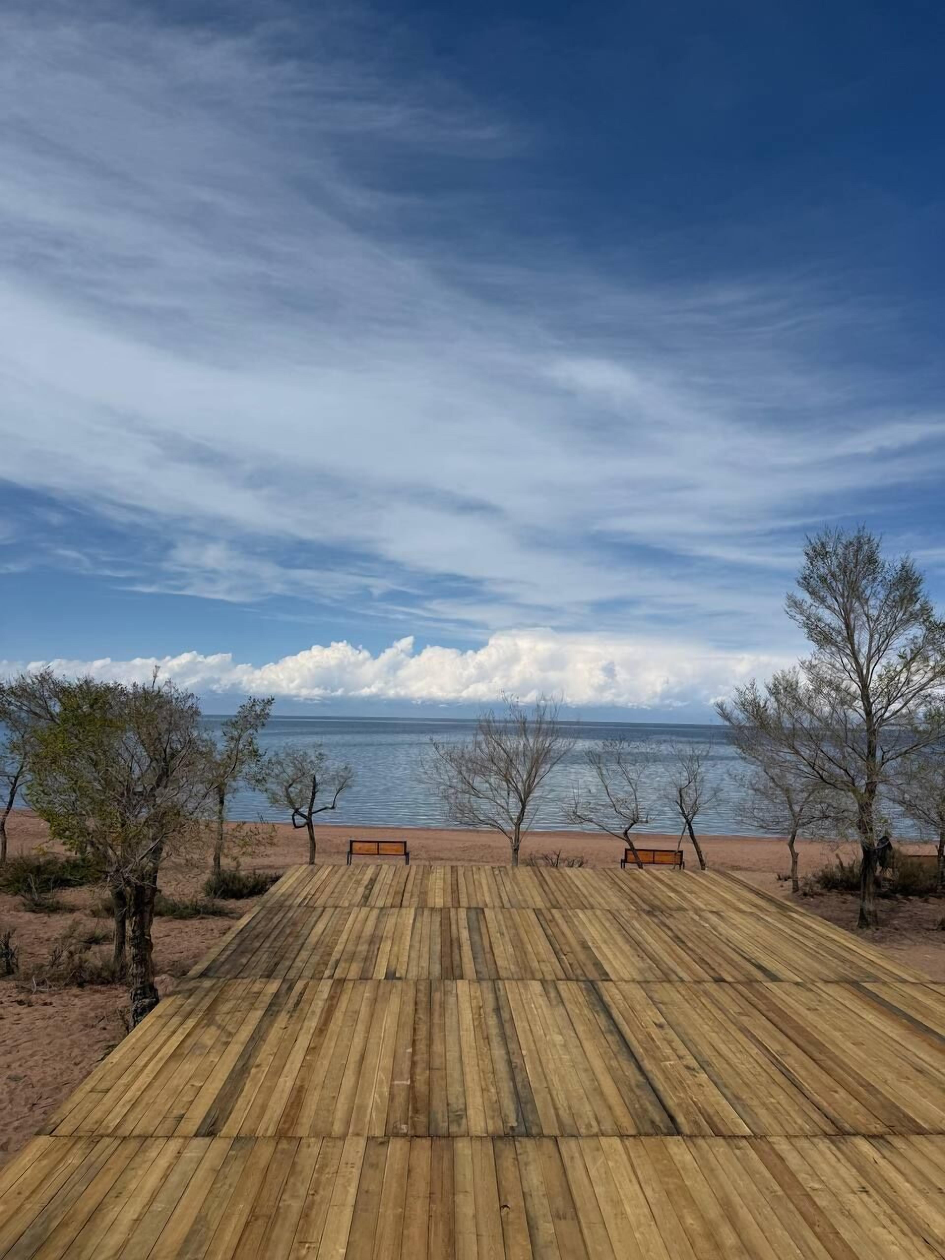 Eine Holzterrasse führt zu einem Strand mit Bänken und vereinzelten Bäumen.