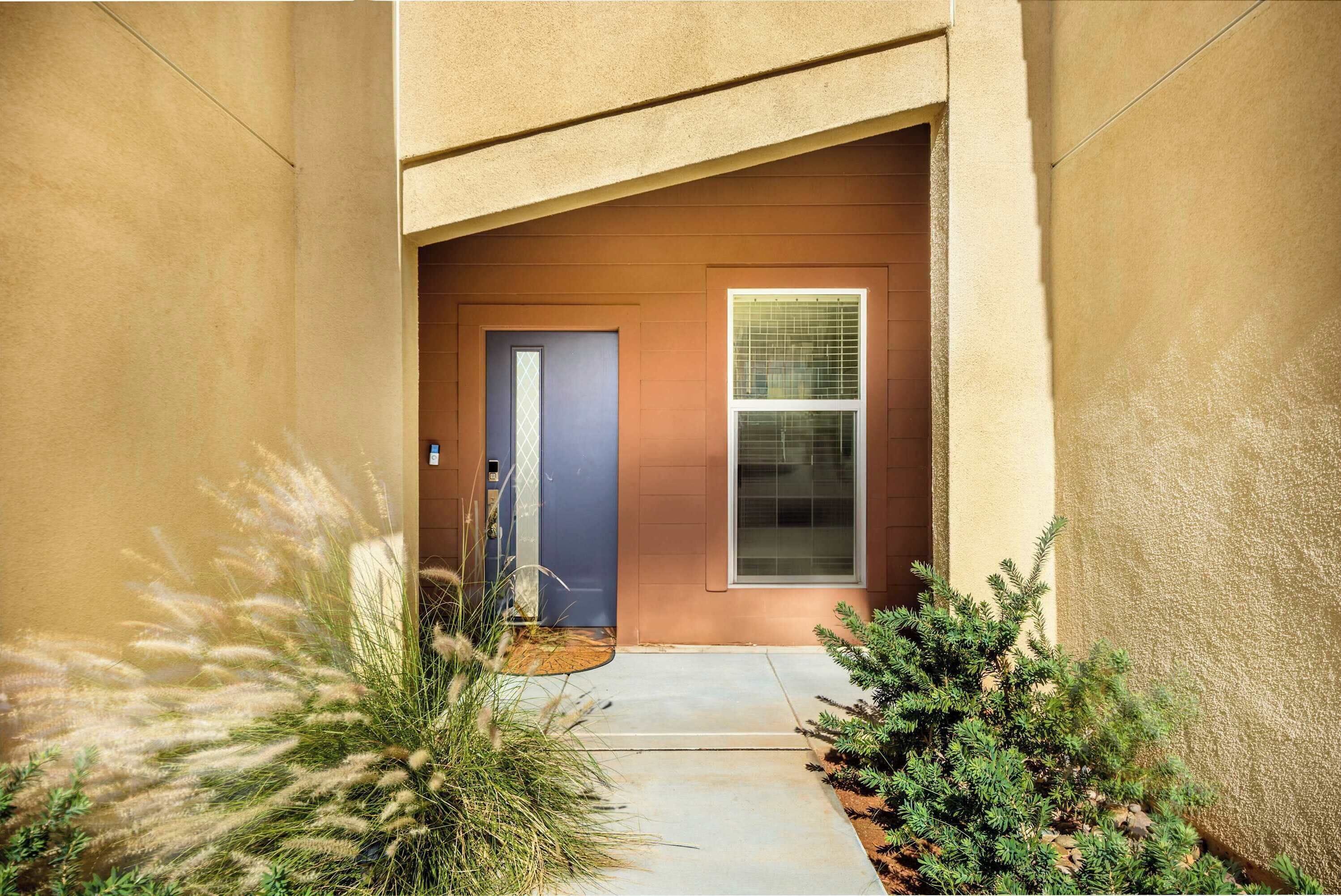 A building entrance with a door and window, surrounded by plants.