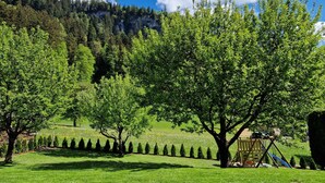 Eine grüne Wiese mit Bäumen und einem Spielplatz.