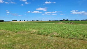A wide-open field with wind turbines in the distance under a clear blue sky.