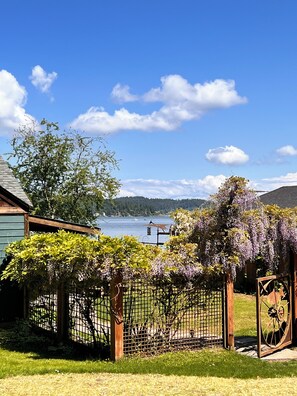 Terrain de l’hébergement 