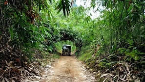 Safari - Skybz - Mankulam (Mankulam)