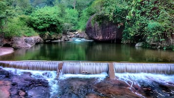 Land view from property