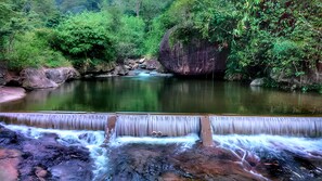 إطلالة على الشارع من المنشأة