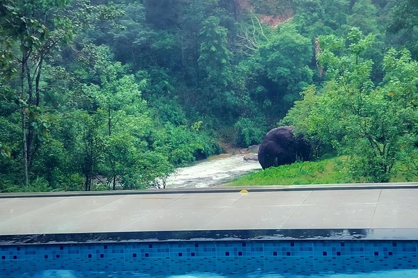 Outdoor pool