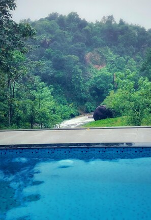 Una piscina con vista su un fiume e vegetazione lussureggiante sullo sfondo.