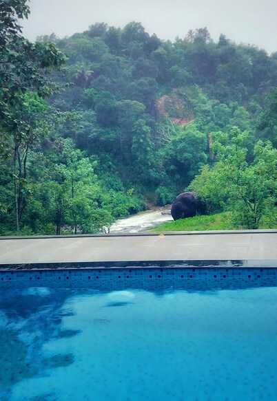 Skybz - 曼库拉姆  