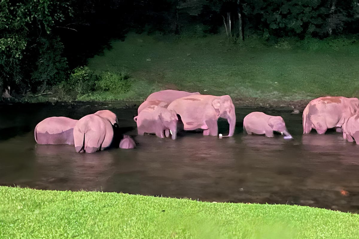 إطلالة على البحيرة