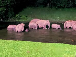 إطلالة على البحيرة