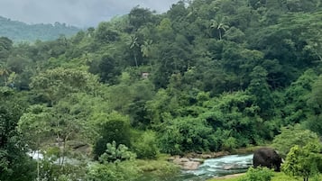 Quang cảnh từ phòng