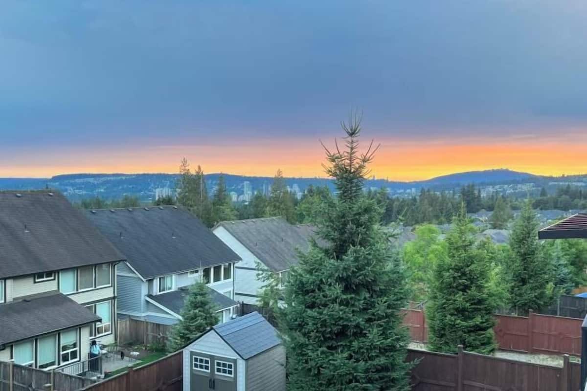A residential area with houses, a wooden fence, and a tall evergreen tree.