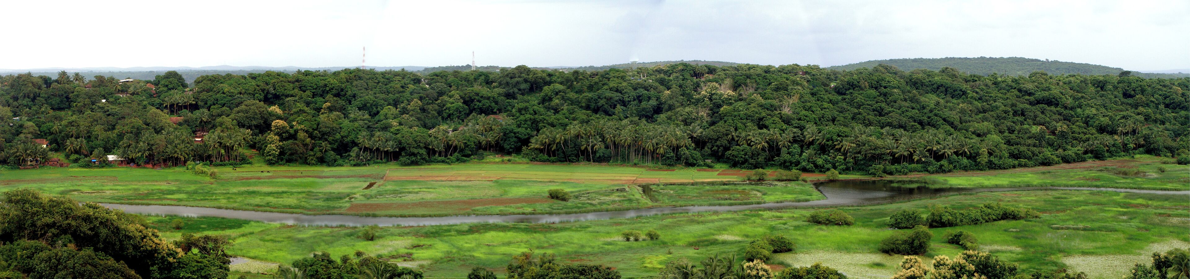 A lush green landscape with a river and dense forest.