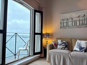 Téléviseur connecté, livres